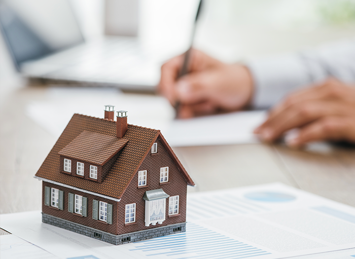 اختيار الشكل القانوني